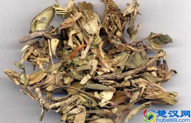 耳鸣怎么办？中医教你5招防治耳鸣！