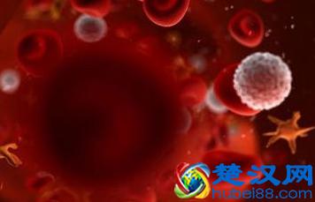 血小板偏低是什么原因症状主要有哪些