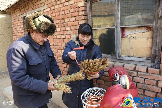 2017年农村低保申请条件有哪些？申请书范文怎么写