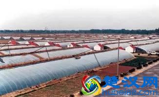 农村做什么生意赚钱 这七个投资小项目必看