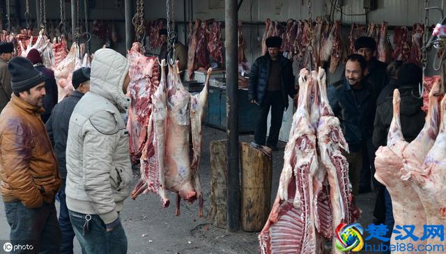 农村养殖什么最赚钱，这4种养殖可能最赚钱