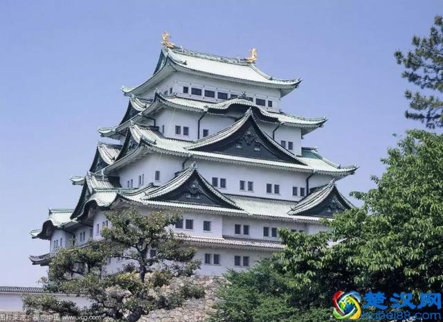 日本中部地区最高学府:名古屋大学