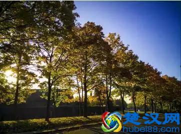 为什么钟爱伯明翰大学？看完就全明白了~