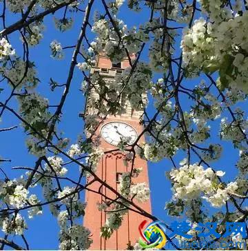 为什么钟爱伯明翰大学？看完就全明白了~