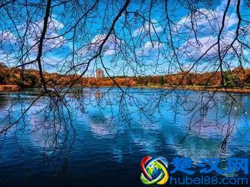 为什么钟爱伯明翰大学？看完就全明白了~