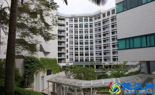 澳门城市大学（City University of Macau）