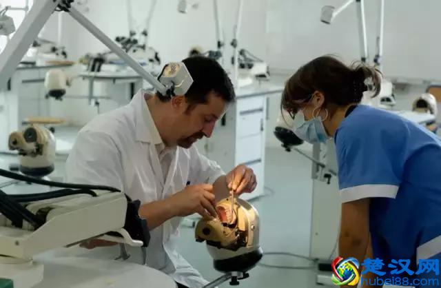 西北强校｜南特大学