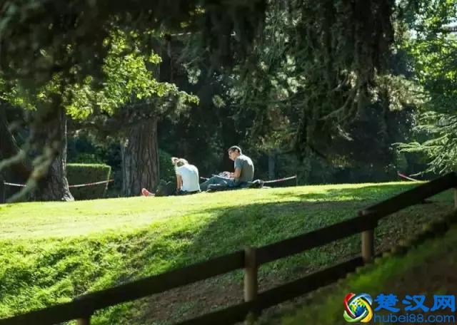 西北强校｜南特大学