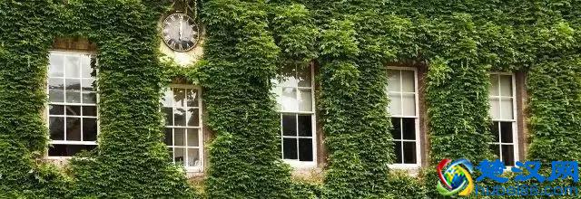 你们心心念念的牛津大学，到底牛在哪里？