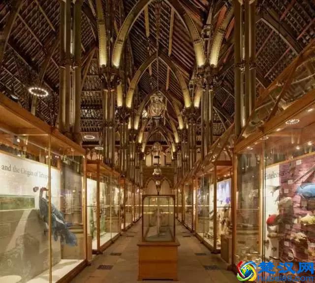 你们心心念念的牛津大学，到底牛在哪里？