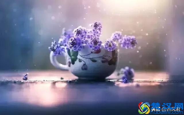 快乐是什么？这是我听过最诗意的回答