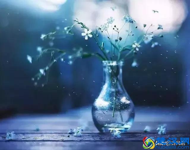 快乐是什么？这是我听过最诗意的回答