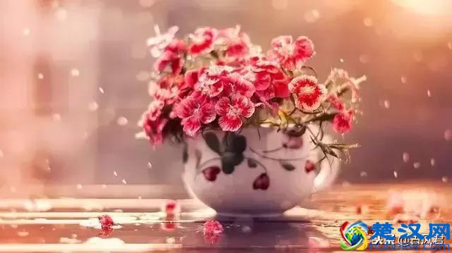 快乐是什么？这是我听过最诗意的回答