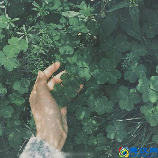 只有颠沛流离过，才明白什么是过日子