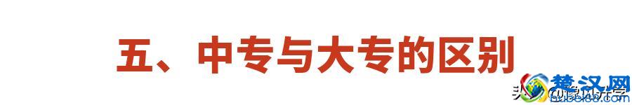 职高、技校、中专、大专选哪个？区别是什么？看完分析再决定