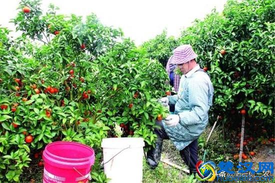 4个赚钱门路，每个都很现实！厌倦了打工生活，不妨尝试一下！