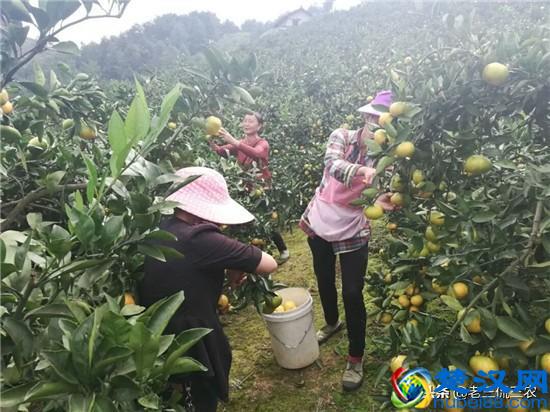 4个赚钱门路，每个都很现实！厌倦了打工生活，不妨尝试一下！