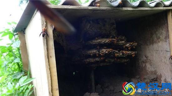 4个赚钱门路，每个都很现实！厌倦了打工生活，不妨尝试一下！