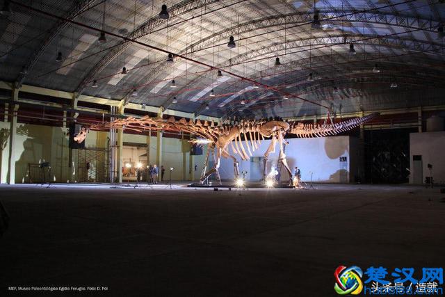 全世界最大的恐龙化石是如何被发现的？