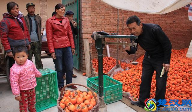 创业不如回农村，这8个赚钱好项目有干头，任意一个都比打工强！