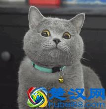 2019年深圳必去的20个绝美景点，你去过几个