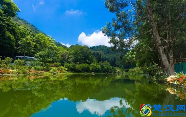 2019年深圳必去的20个绝美景点，你去过几个