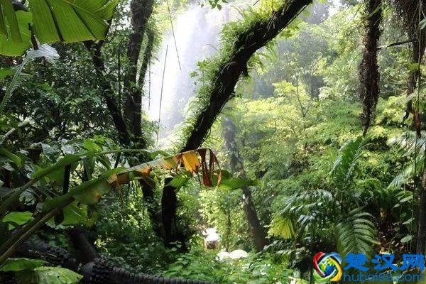 2019年深圳必去的20个绝美景点，你去过几个