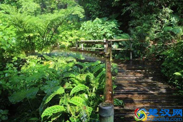 2019年深圳必去的20个绝美景点，你去过几个