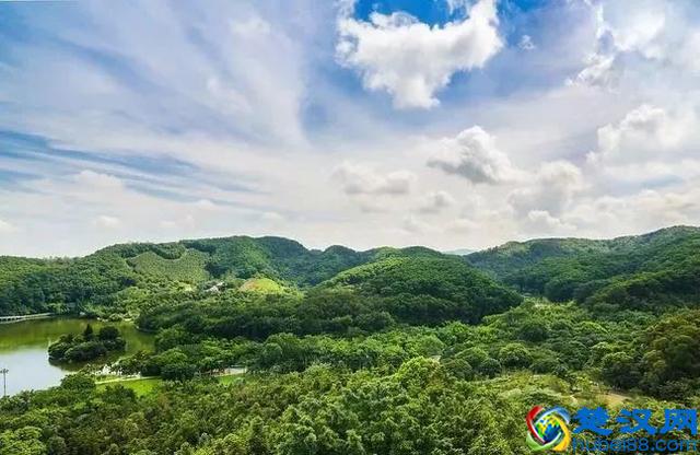 2019年深圳必去的20个绝美景点，你去过几个