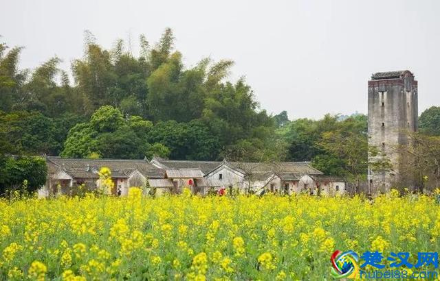 2019年深圳必去的20个绝美景点，你去过几个