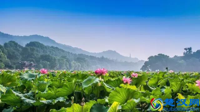 杭州哪里最好玩？这10大景点你应该知道！