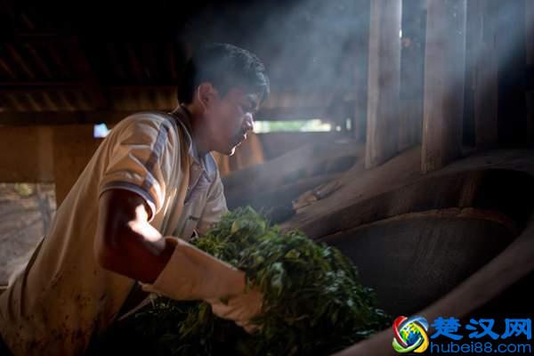 普洱茶杀青如何提高香气？杀青的目的是什么？