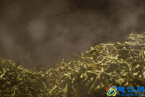 普洱茶杀青如何提高香气？杀青的目的是什么？