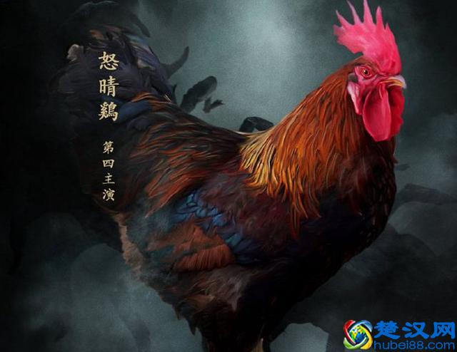 蜈蚣位列五毒之一，让人闻风丧胆，为什么唯独大公鸡不怕它