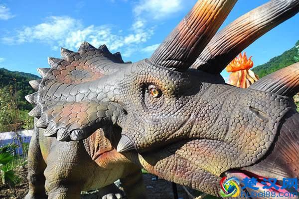 四川最具有特色的旅游小镇，成都春游必去景点在哪里