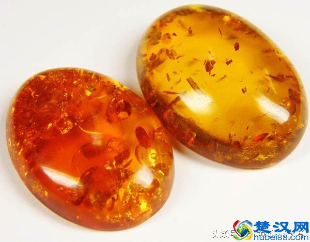 琥珀、蜜蜡到底是什么？来看看它的前世今生