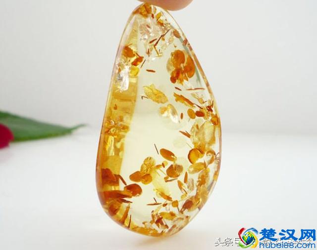 琥珀、蜜蜡到底是什么？来看看它的前世今生