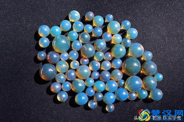 琥珀、蜜蜡到底是什么？来看看它的前世今生