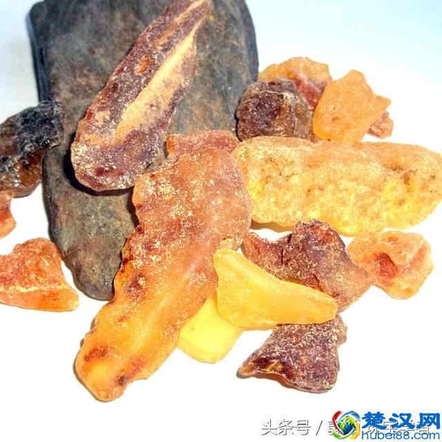 琥珀、蜜蜡到底是什么？来看看它的前世今生