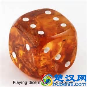 琥珀、蜜蜡到底是什么？来看看它的前世今生