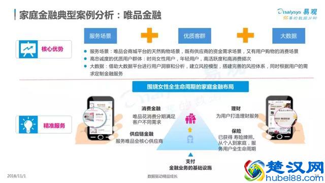 2018中国家庭金融市场分析报告