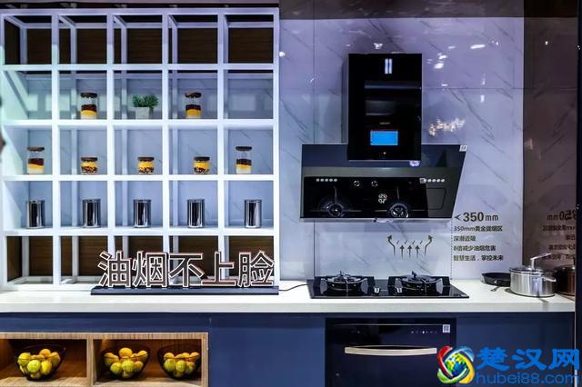 工信部C-BPI品牌榜揭晓:帅康油烟机连续9年稳居前列