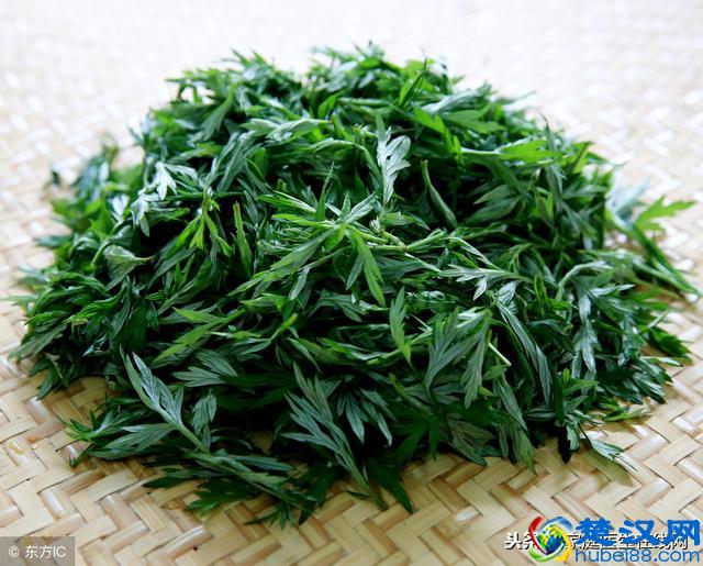艾叶有3个鲜为人知的好处，但食用前，需牢记这些禁忌
