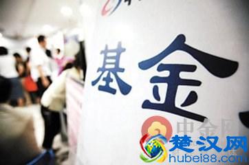 什么是基金净值 基金净值与基金净收益的区别在哪儿?