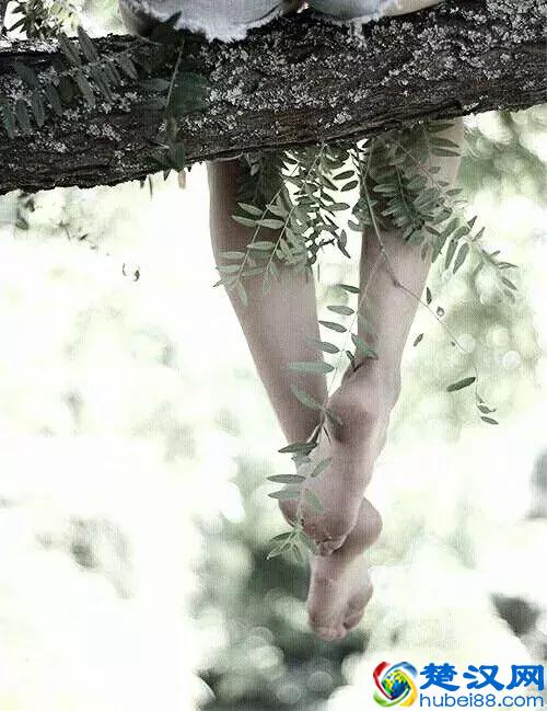 生活如饮水，冷暖自知；人生如逆旅，苦乐自尝