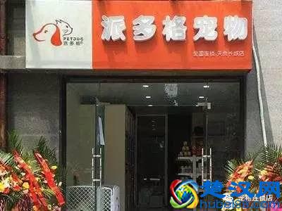 开宠物店之前要做什么准备