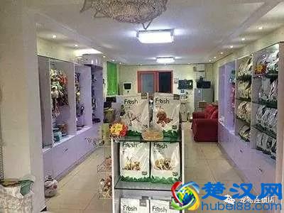 开宠物店之前要做什么准备