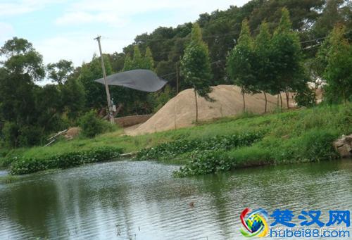 厌倦在外打工？想回乡做点小生意？这些生意值得你考虑，有同感么