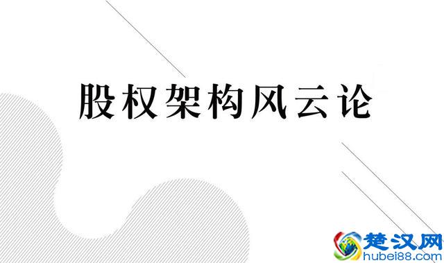 看看大公司如何设计股权结构，股权设计的原则是什么