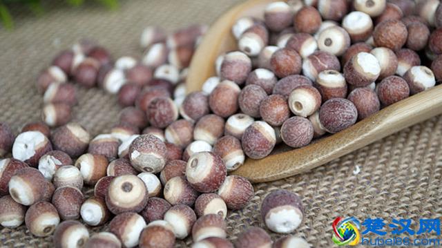 “鸡头米”好吃,大家都经常吃,但它的药用功效你知道多少?